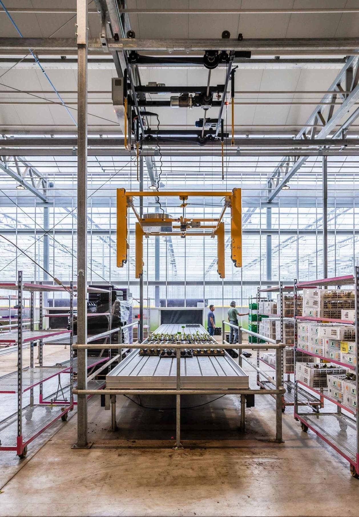 ultimate wifiless crane